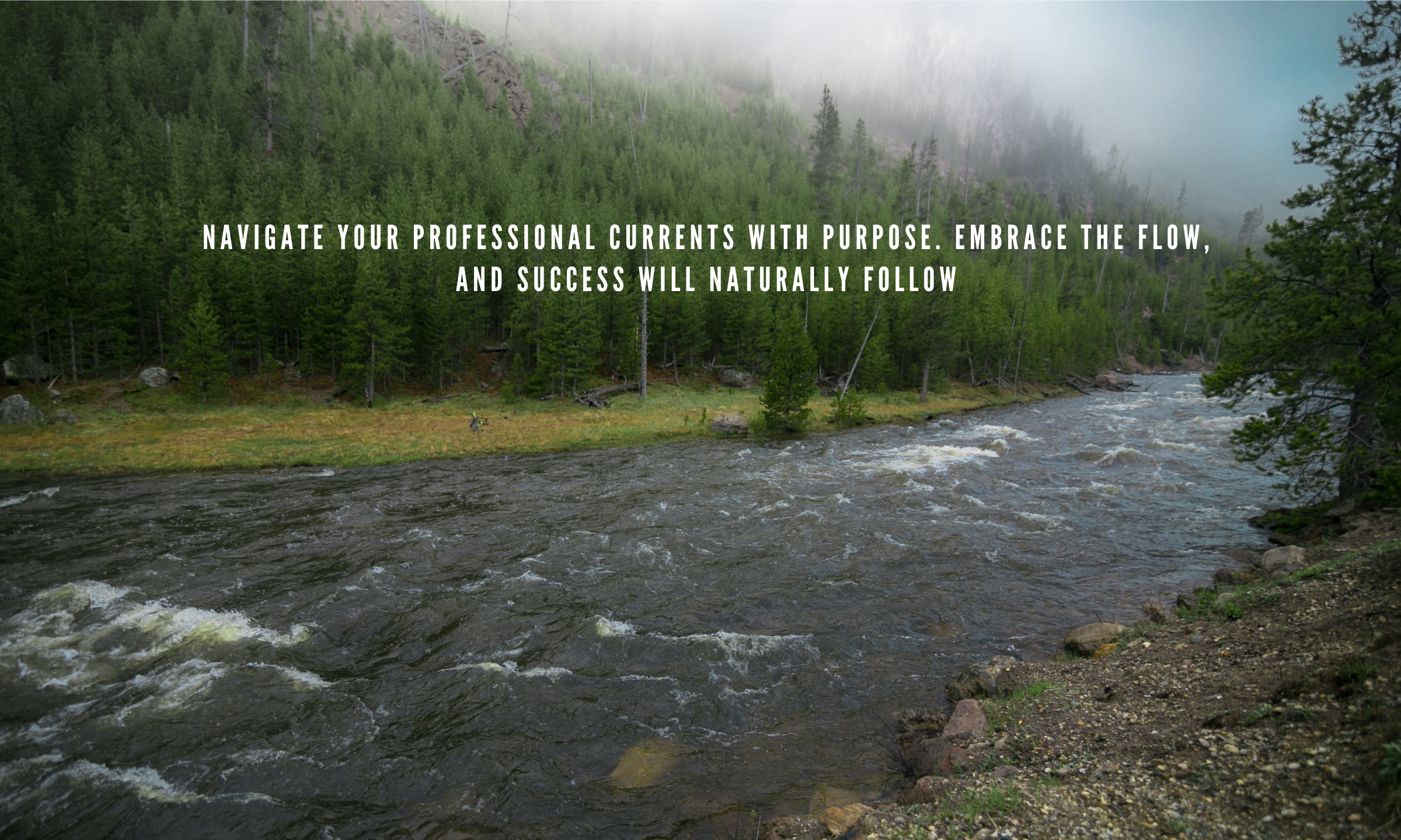 Guide for Working Professionals: Achieving Peak Performance through Flow